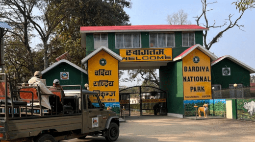 Safari in Bardia National Park – An Untamed Adventure in Nepal’s Wilderness