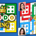 Ludo goti game